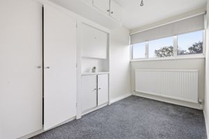 Photo 11- click for photo gallery